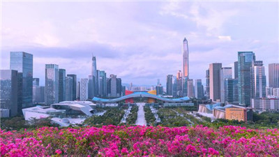 上海喝茶资源夜上海精彩体验